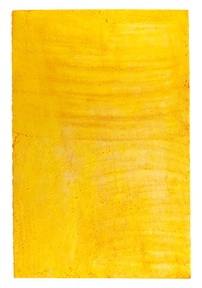 curcuma papel 11.jpg